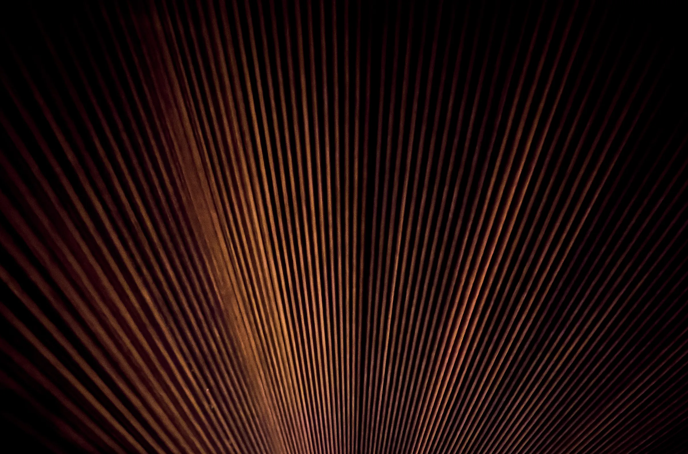 Fluted walnut on an SCIC Swing wall